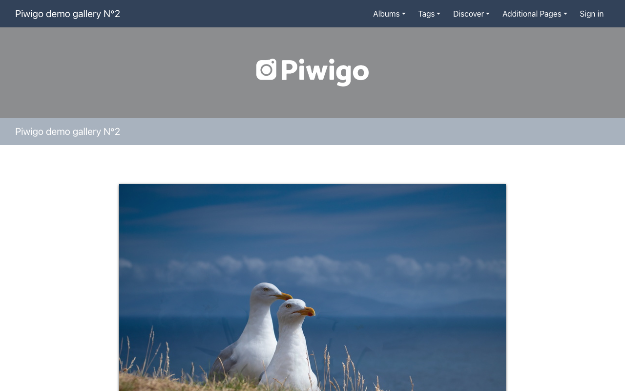 Captura de Piwigo, tomada de su demo pública oficial